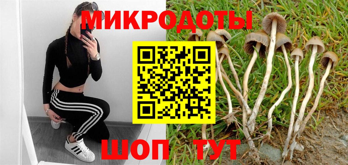 Галлюциногенные грибы Cubensis Кропоткин